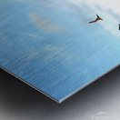 Seal Meditation Metal print