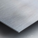 A Blonde Squirrel Moment Metal print