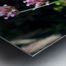 Flower Bloom 7B Metal print