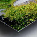 Falling for Colors B Metal print