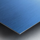 Urban Oasis Metal print