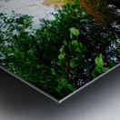 Autumn Stroll Metal print