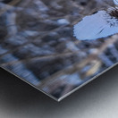 Snow Covered Prick  Winter Thistle Metal print