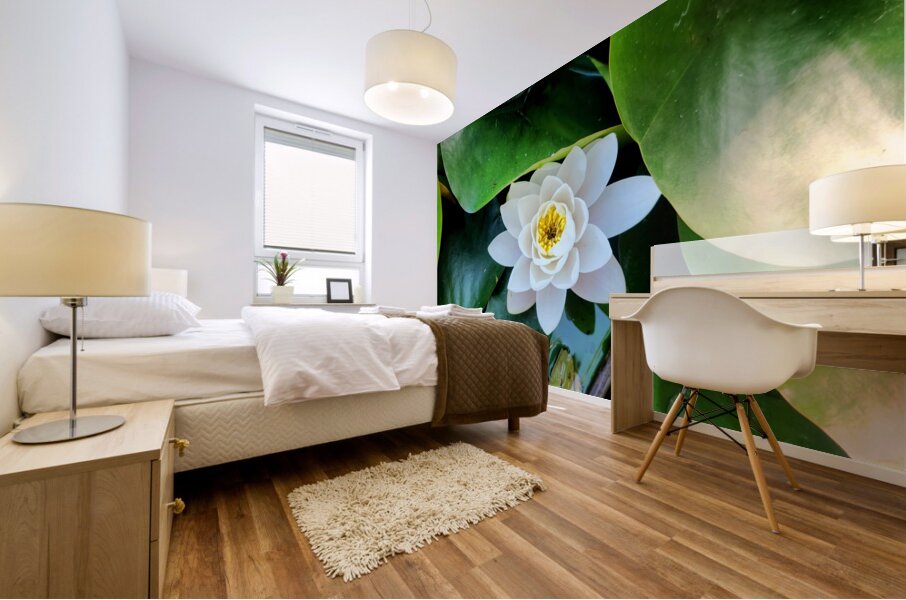 White Radiance in Green Silence Mural print