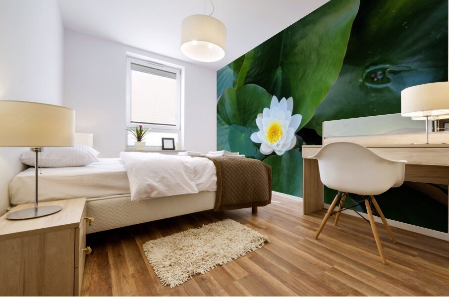 Blooms of Joy: Silence Speaks in Petals Mural print