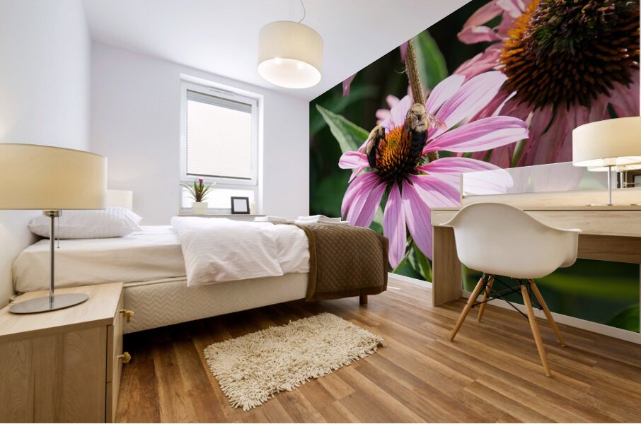 The Harmony of Pollination: Twin Bees on a Purple Coneflower Mural print