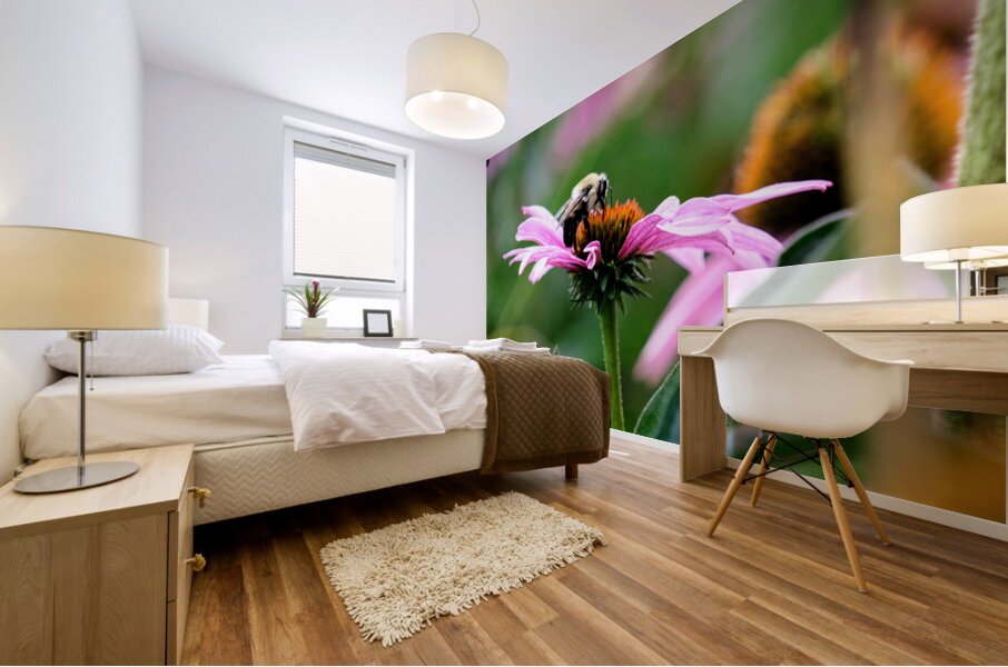 A Bumblebee’s Pause on Coneflower Mural print