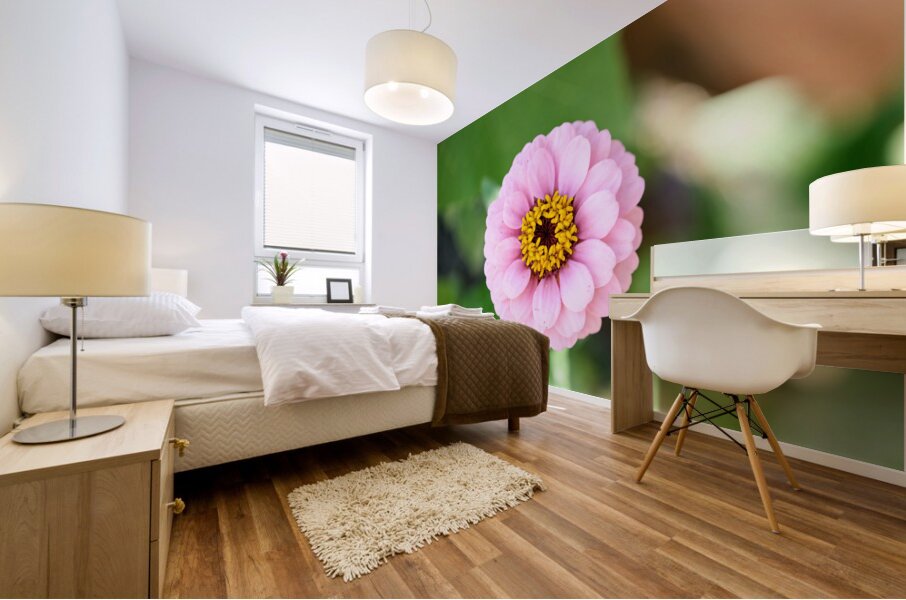 Pretty in Pink Zinnia:  Soft Celestial from Earth’s Garden Mural print