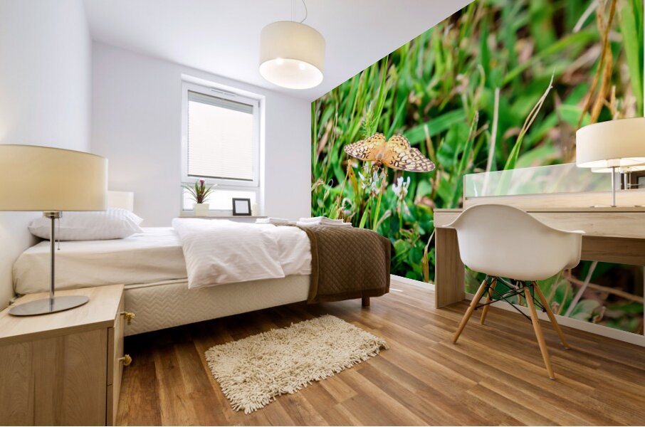 Buttery Butterfly as Omen of Calm Mural print