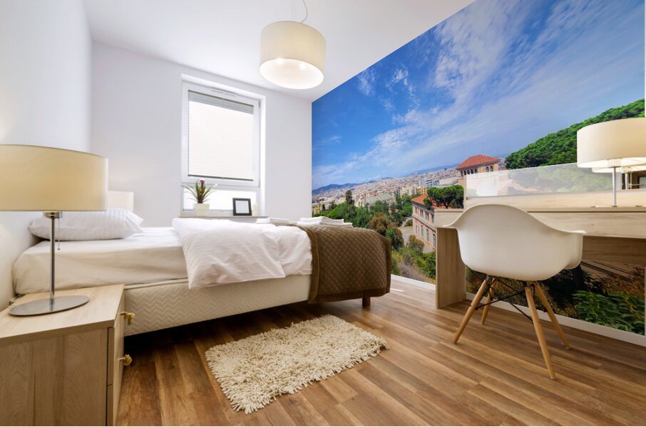 Skylines and Stories: Barcelona Hilltop View Mural print