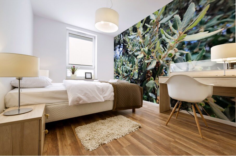 Acorn Awakening Mural print