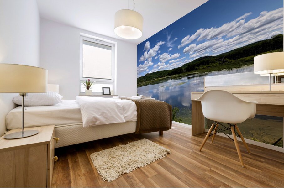 Cloud Watching by the Lake Mural print