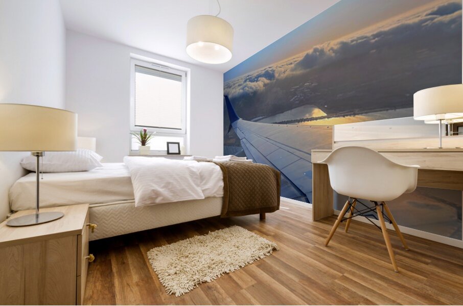 Wings over SF: Above the Quiet Kingdom Mural print