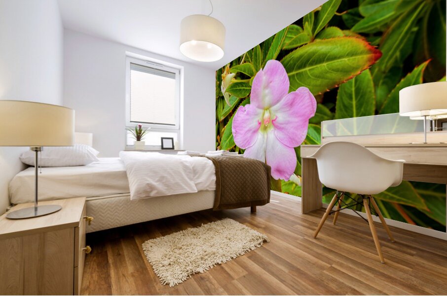 Impatiens: One Quiet Bloom Mural print