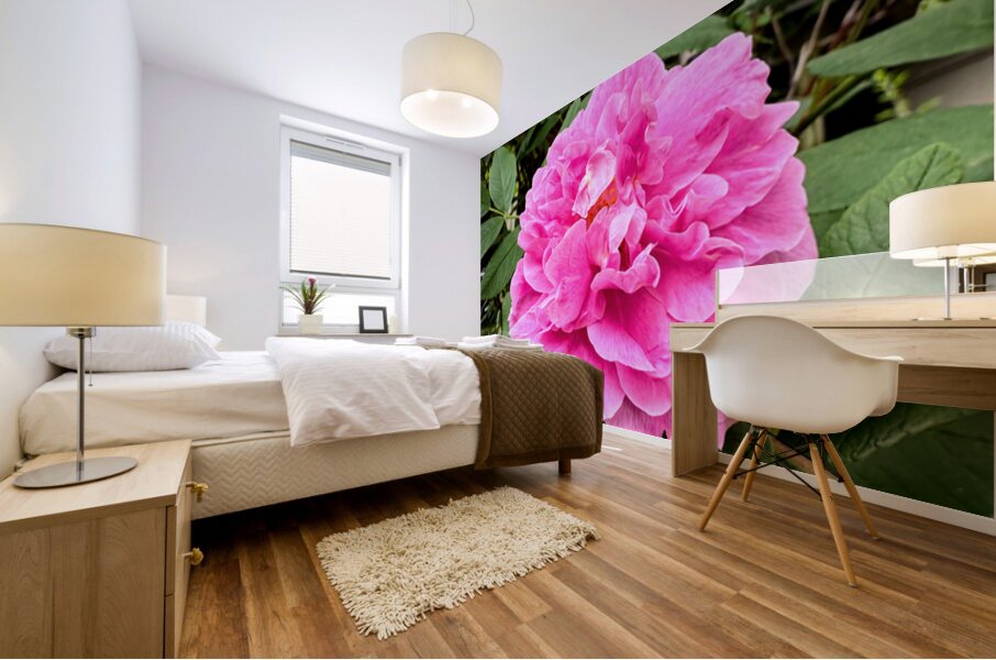 Rugosa Rose: Still She Blooms Mural print