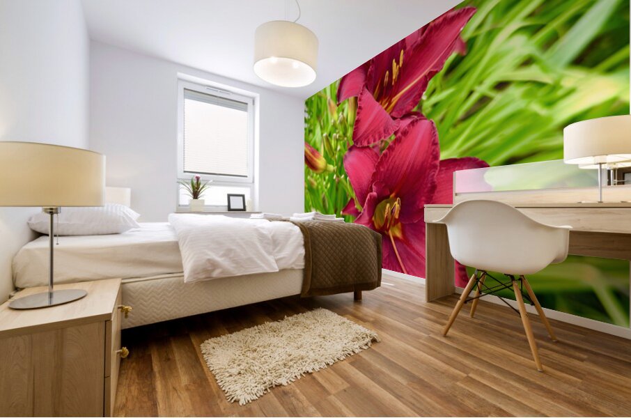 Scarlet Radiance Mural print