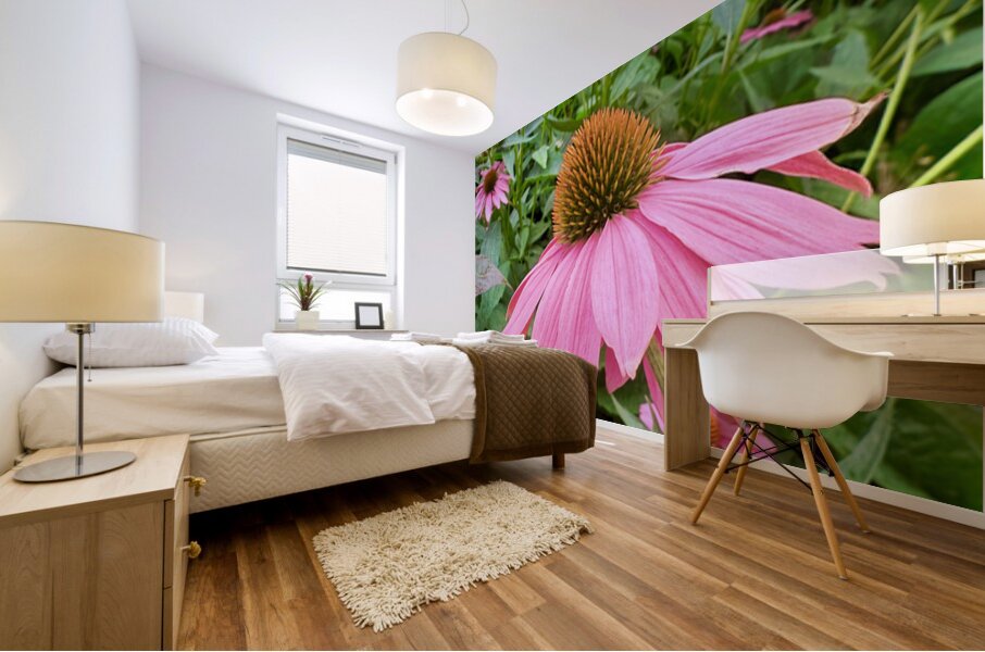 Echinacea Ensemble Mural print