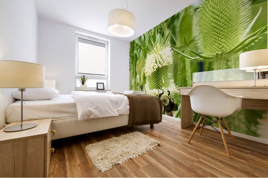 Nature’s Bristle Crown Mural print