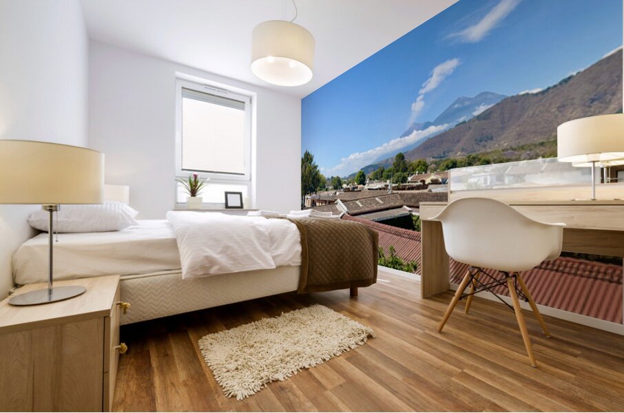 IMG 0093 Mural print