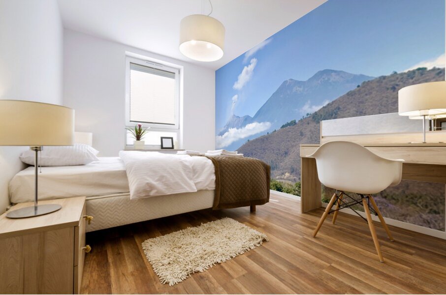 IMG 0088 Mural print