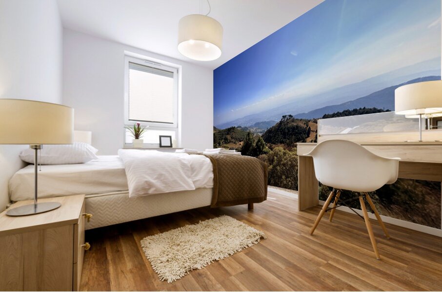 IMG 9684 Mural print