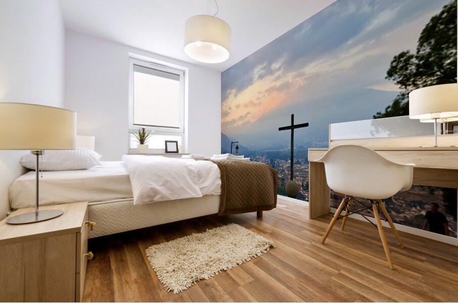 IMG 0503 Mural print