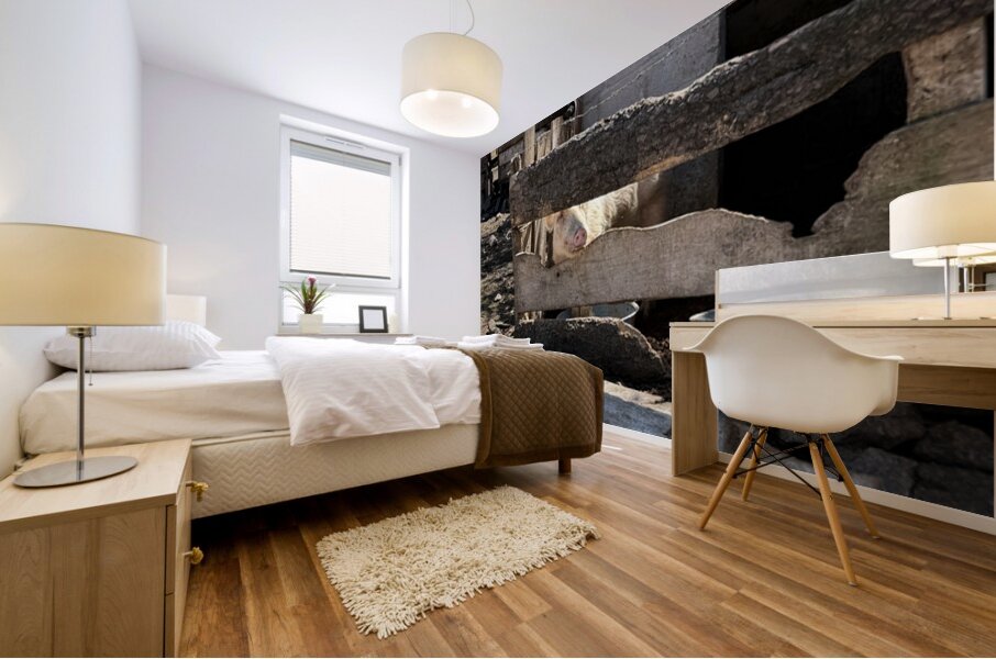 IMG 9517 Mural print