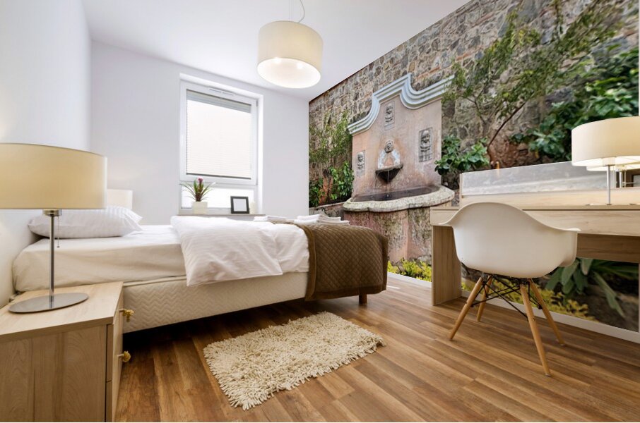 IMG 9960 Mural print