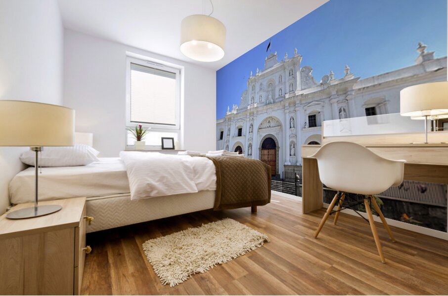 IMG 0284 Mural print