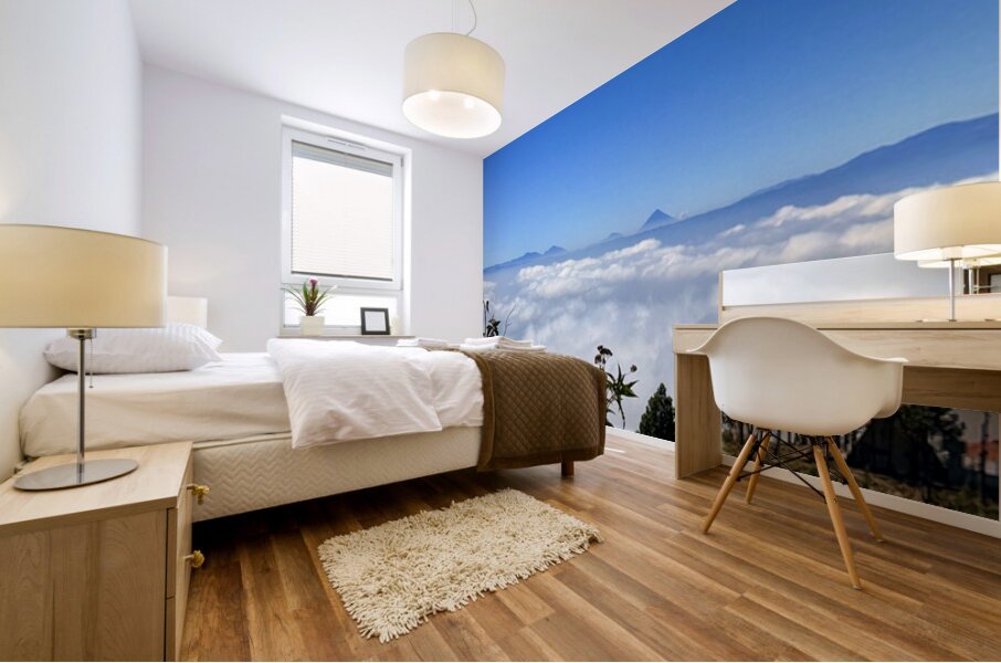 IMG 9140 Mural print