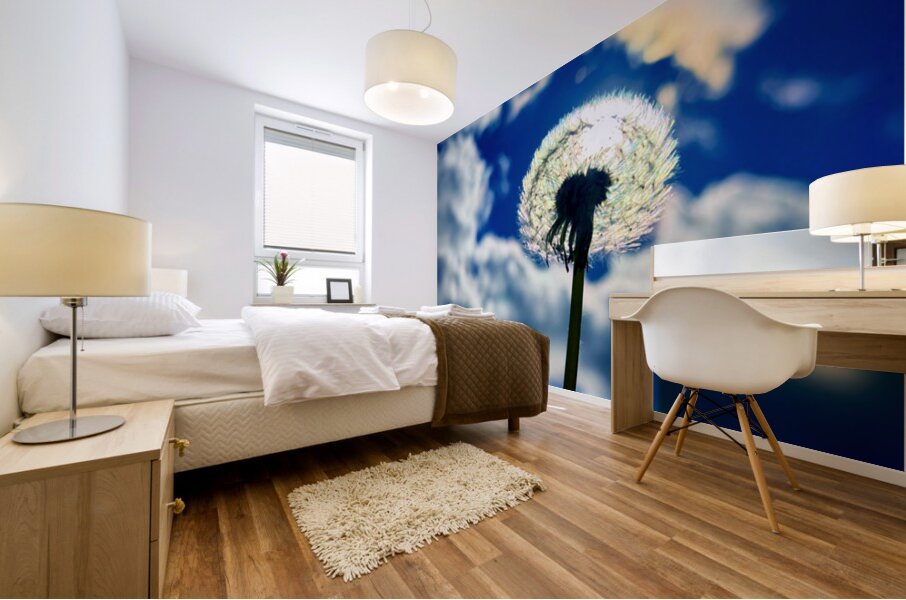 IMG 1749 Mural print