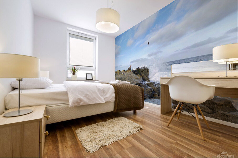 Seal Meditation 2B Mural print