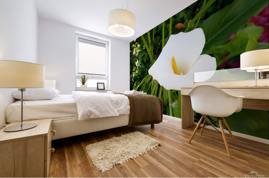 Golden Rod Exposed Mural print