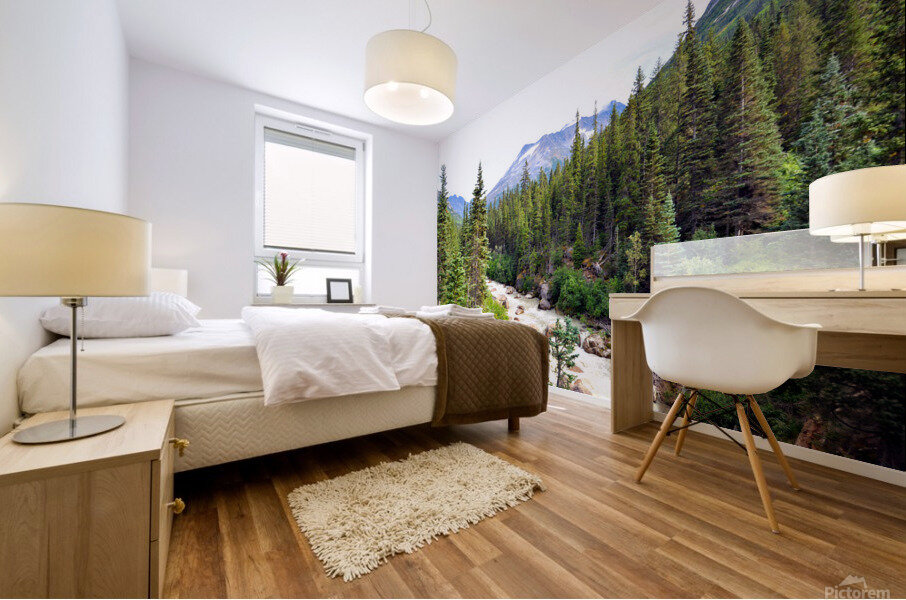 Majestic Mountains of Alaska 3C Mural print