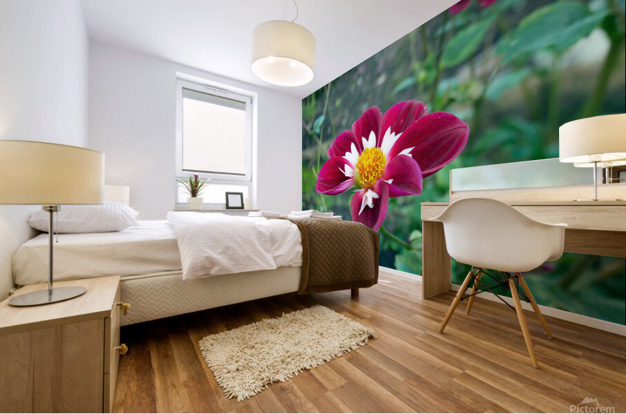 Crimson Bloom Boom   Mural print