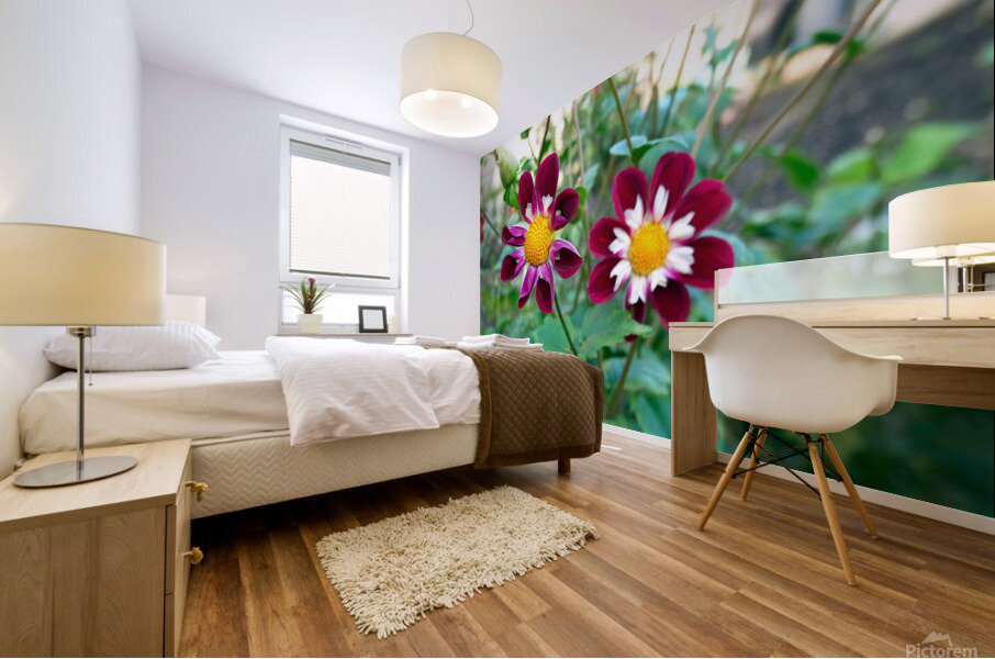 Flower Bloom 5 Mural print