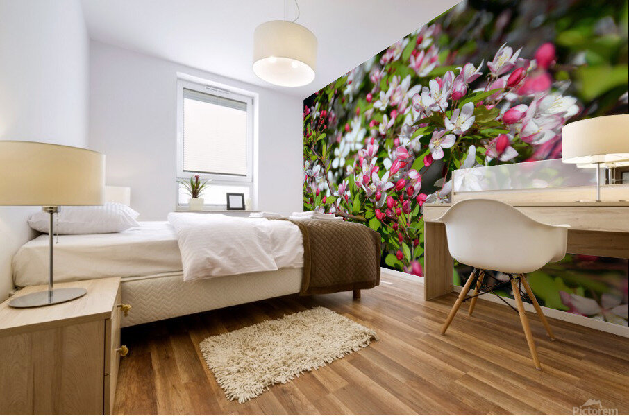 A Berry Cherry Blossom Day to You Mural print