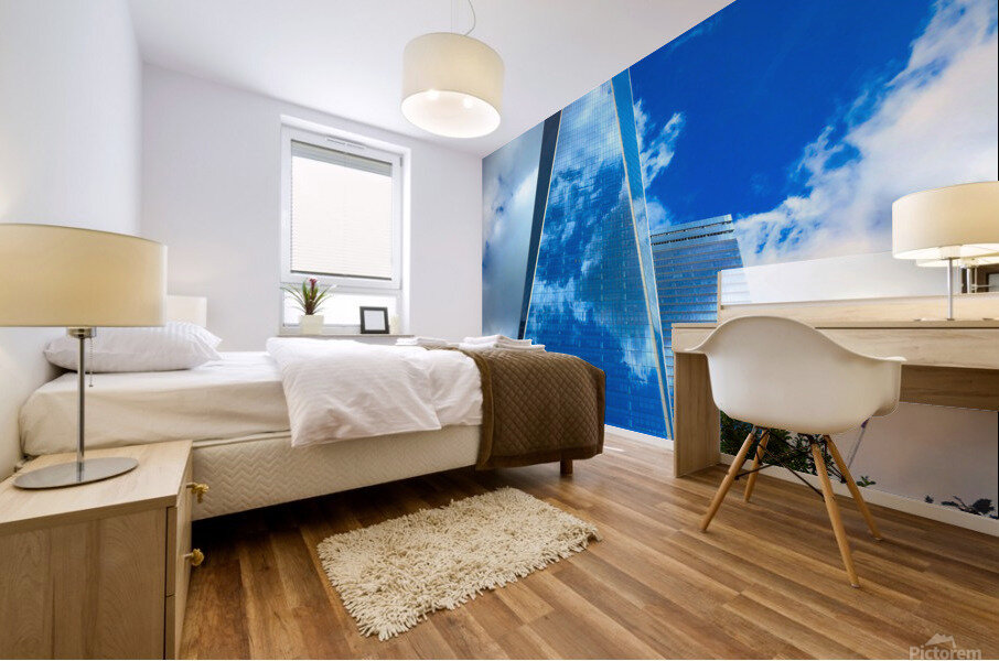 Reflection of Freedom Mural print