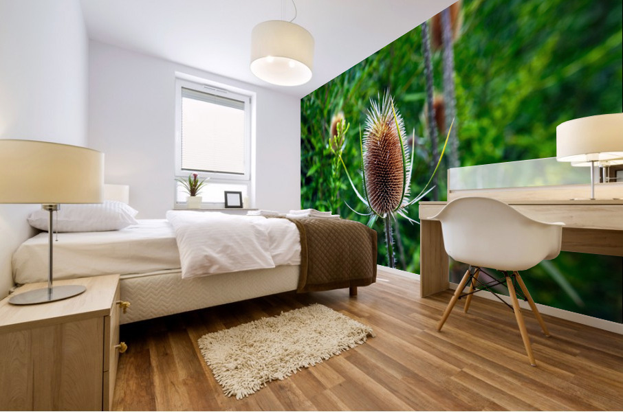 A Beautiful Prick Mural print