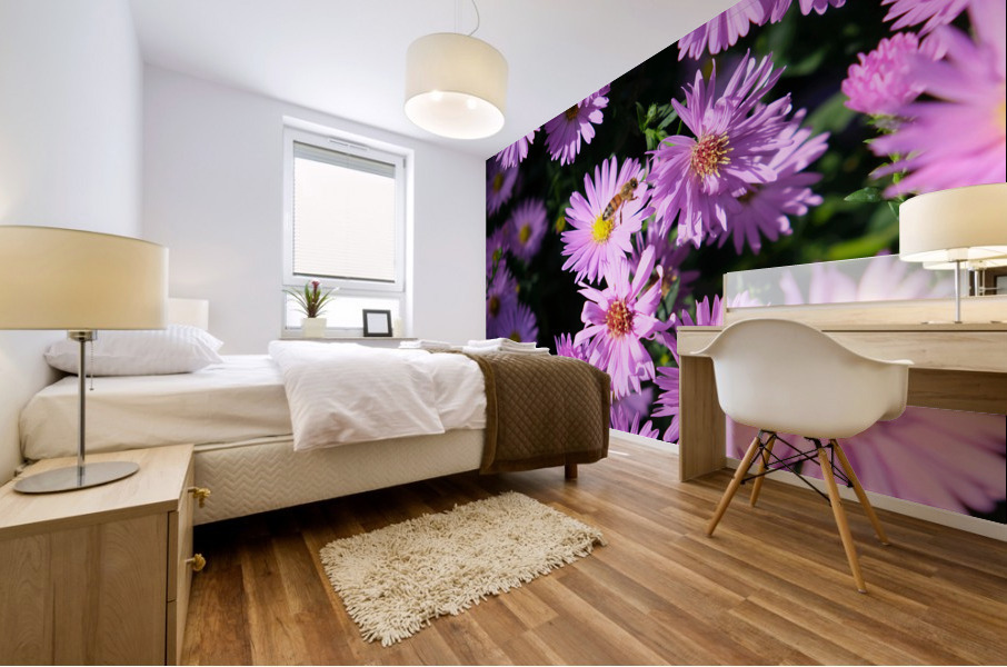 Pink Daisies 2B Mural print