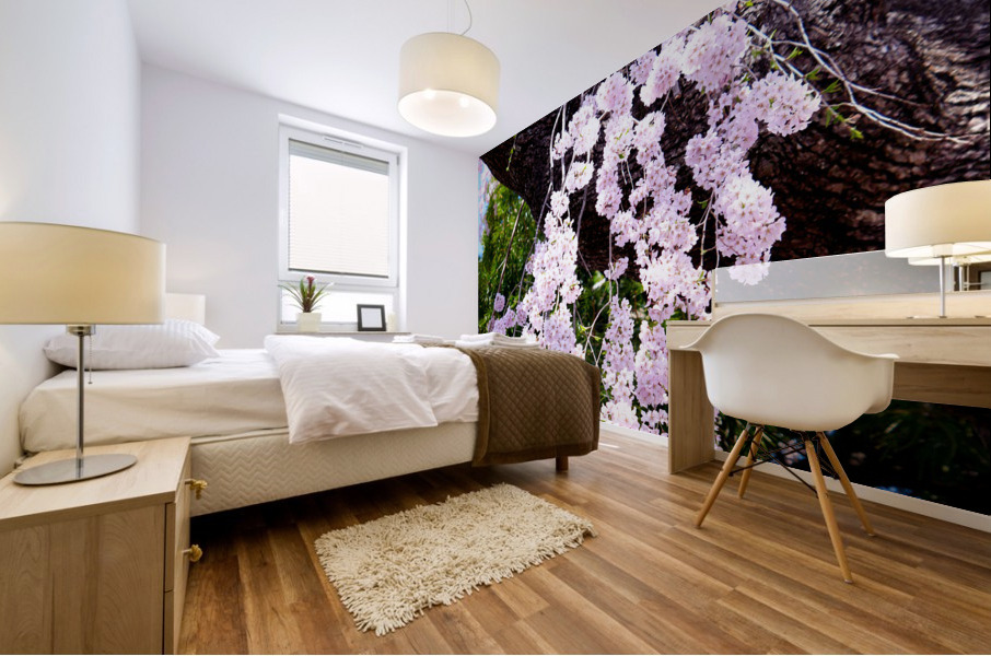 Cherry Blossom 3B Mural print