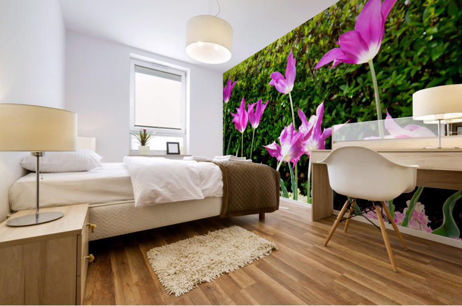 Tulips Singing to the Sun Mural print