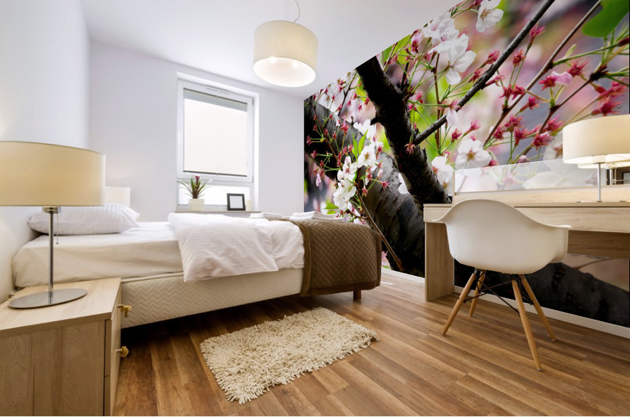 Cherry Blossom 2B Mural print