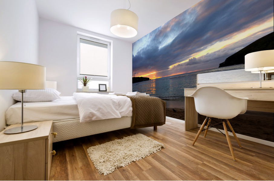 Paradise Found Mural print