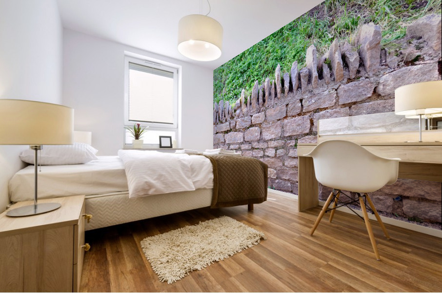 Barbed Stone Wall 2 Mural print