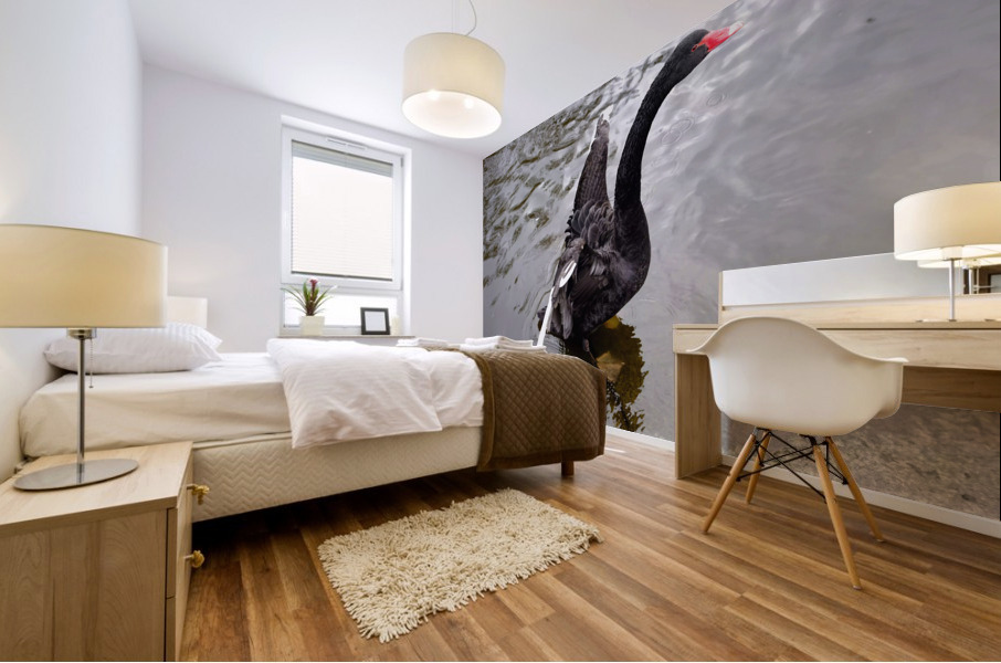 A Black Swan Moment 2B Mural print