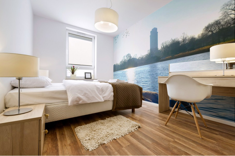 Swan Yoga Morning Stretch 2 Mural print