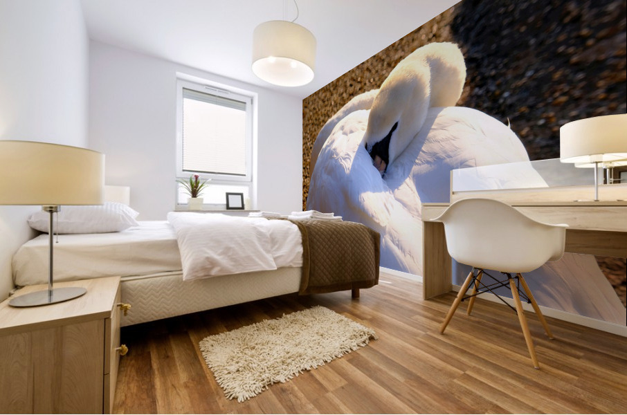 Got My Eye On You Swan Mural print