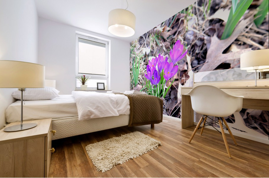 Crocus Revival Mural print