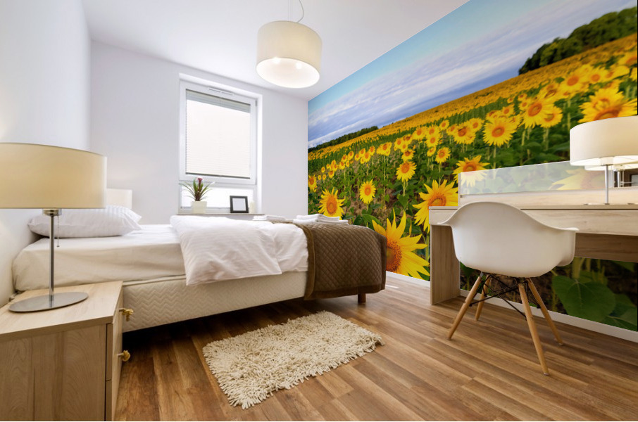 Sunflower Field of Sunshine Mural print